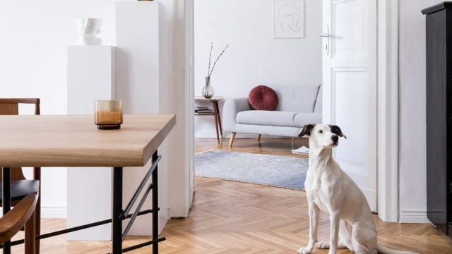 2019_09_25_05_44_48_123_portland_header_dev2-1170×500