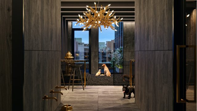 ALiAS-Condos-Pet-Spa-18-v76-full